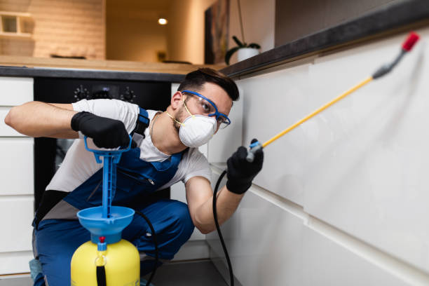  St Paul, TX Pest Control Pros