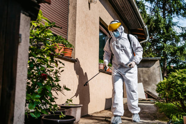 Best Pest Inspection Near Me  in St Paul, TX
