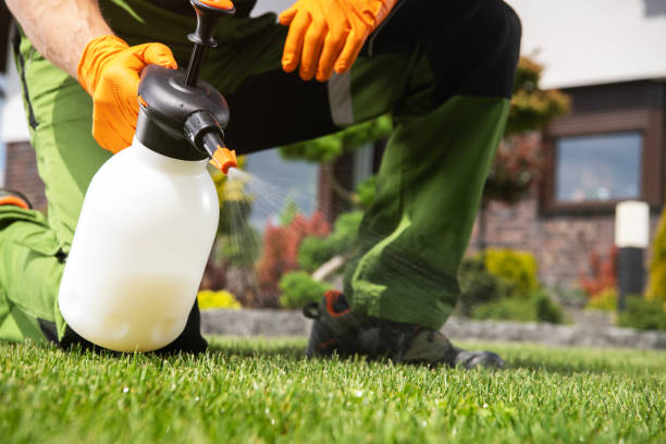 Best Pest Control Near Me  in St Paul, TX