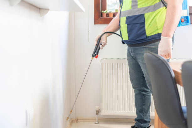 Best Flea Control Services  in St Paul, TX