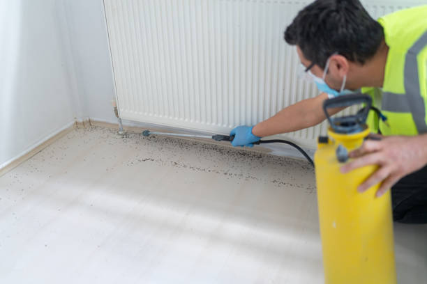 Best Commercial Pest Control Services  in St Paul, TX
